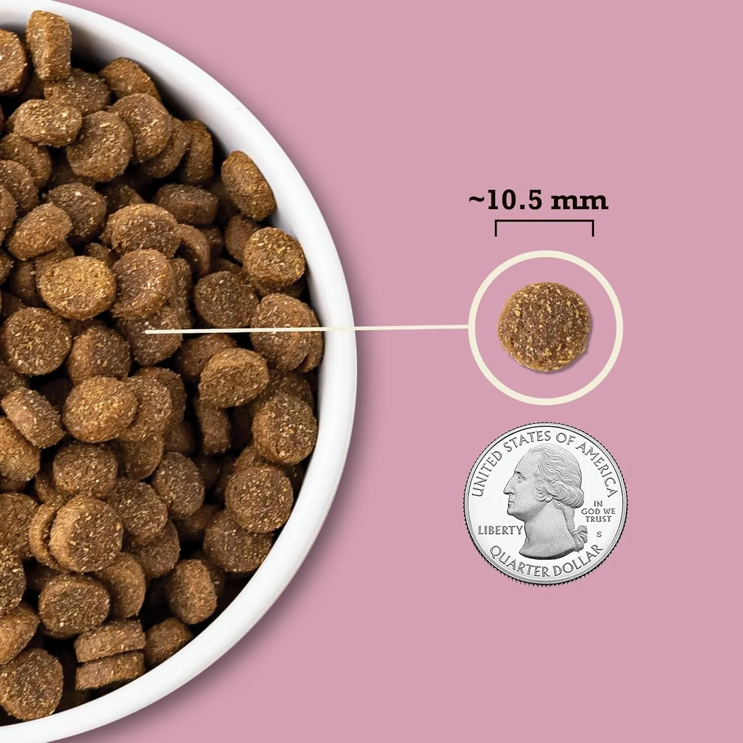 ACANA Wholesome Grains Dry Dog Food, Small Breed Recipe, Chicken and Turkey Dog Food, 11.5lb