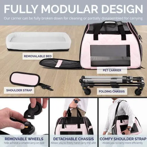 Airline Approved Cat & Small Dog Carrier