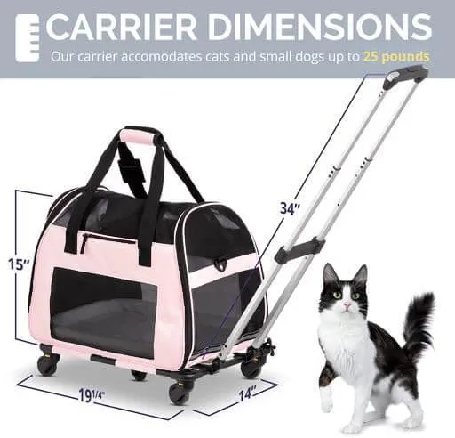 Airline Approved Cat & Small Dog Carrier