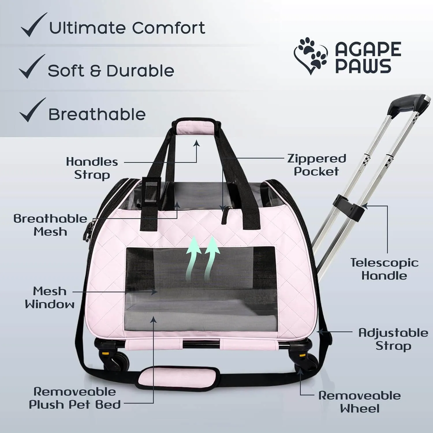 Airline Approved Cat & Small Dog Carrier