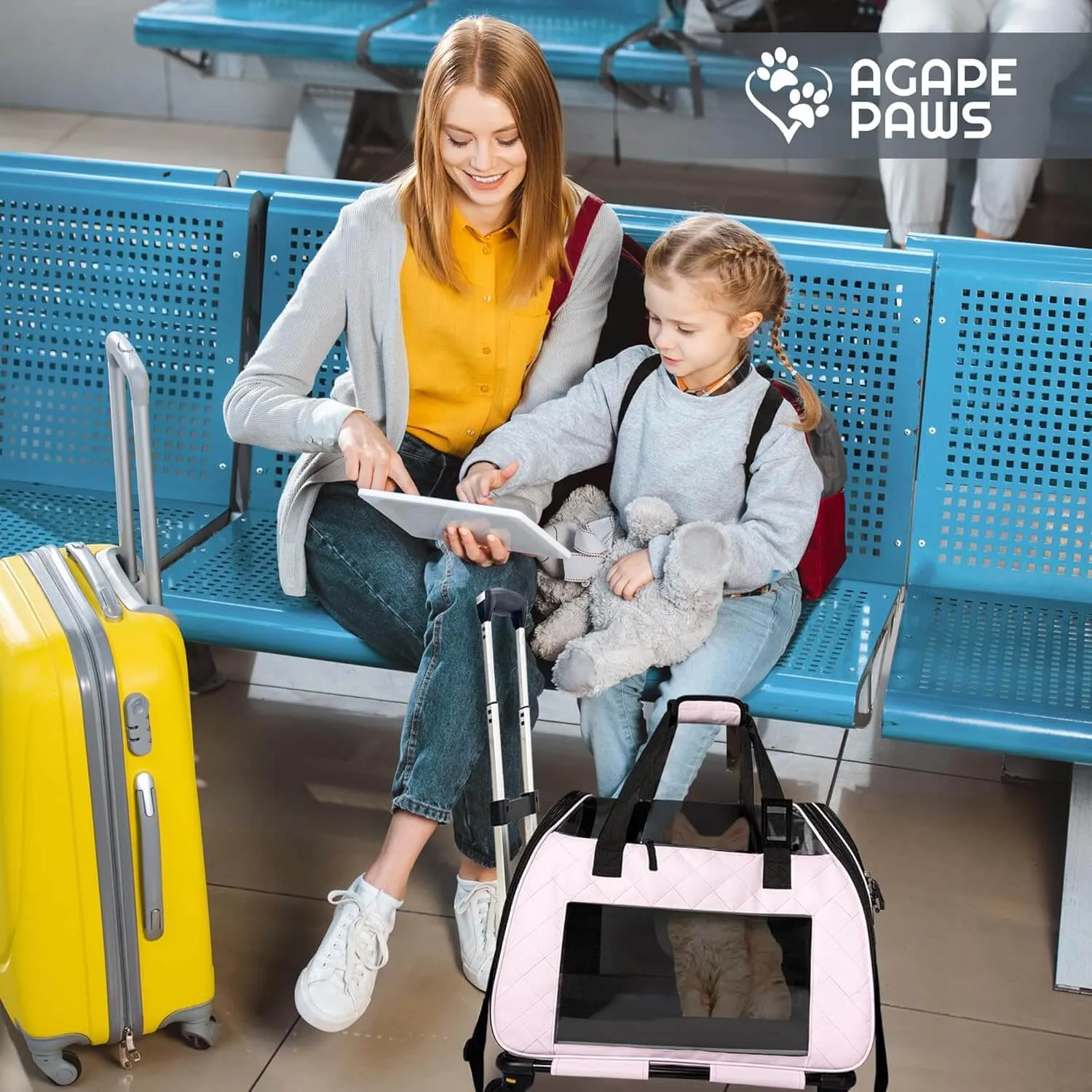 Airline Approved Cat & Small Dog Carrier