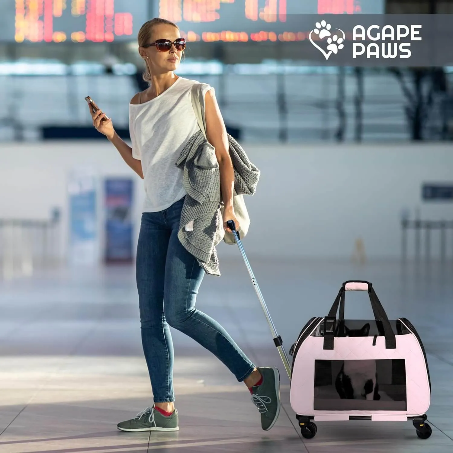 Airline Approved Cat & Small Dog Carrier