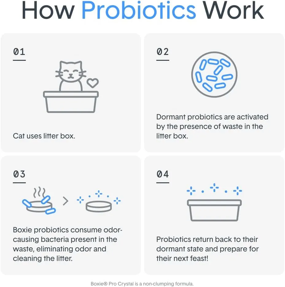 Boxie Probiotic 40 Day Natural Odor Control Cat Litter, 28lb Clumping Clay Kitty Litter
