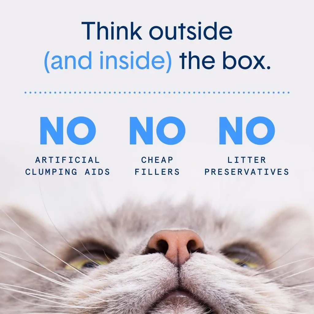 Boxie Probiotic 40 Day Natural Odor Control Cat Litter, 28lb Clumping Clay Kitty Litter