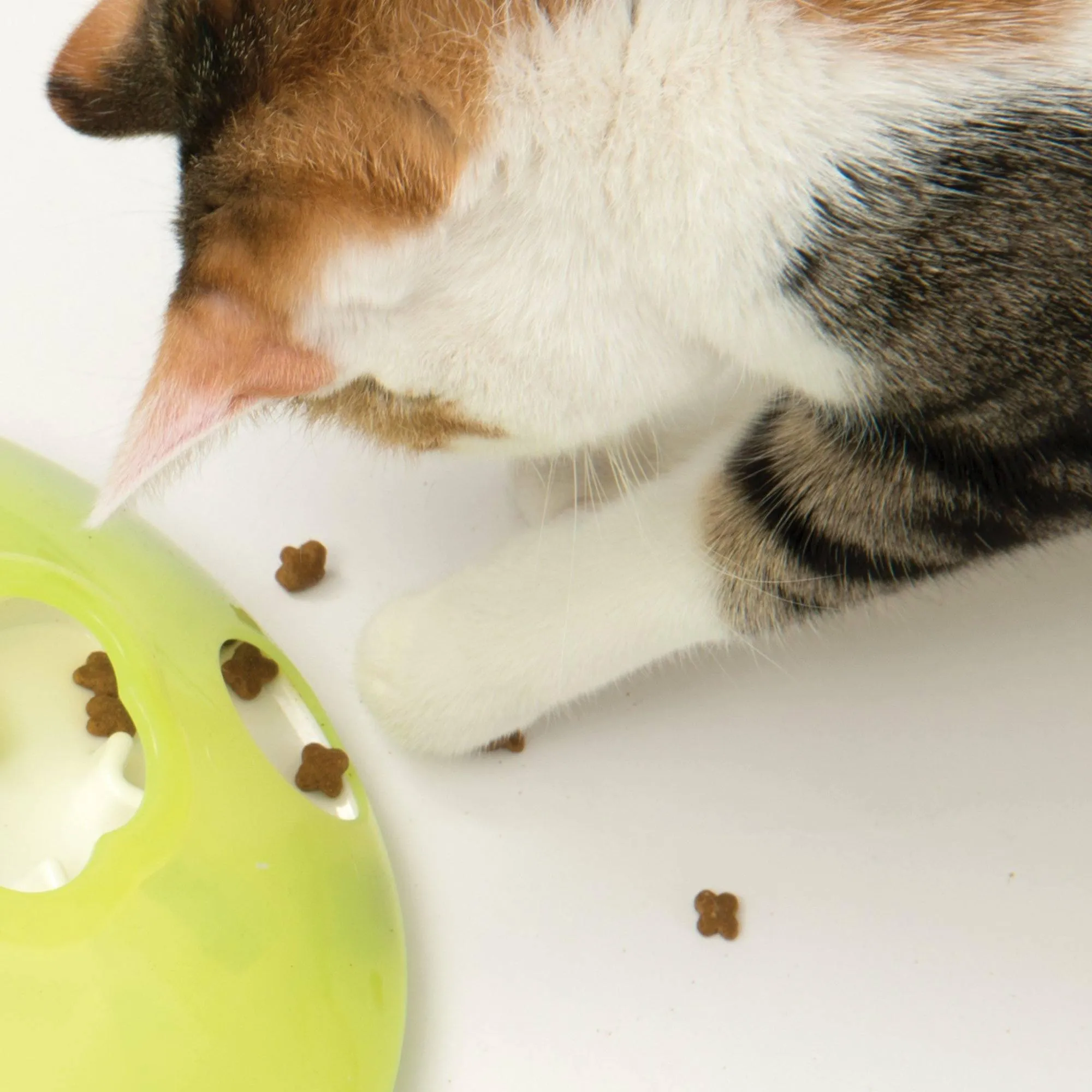 Catit 2.0 Play Treat Spinner
