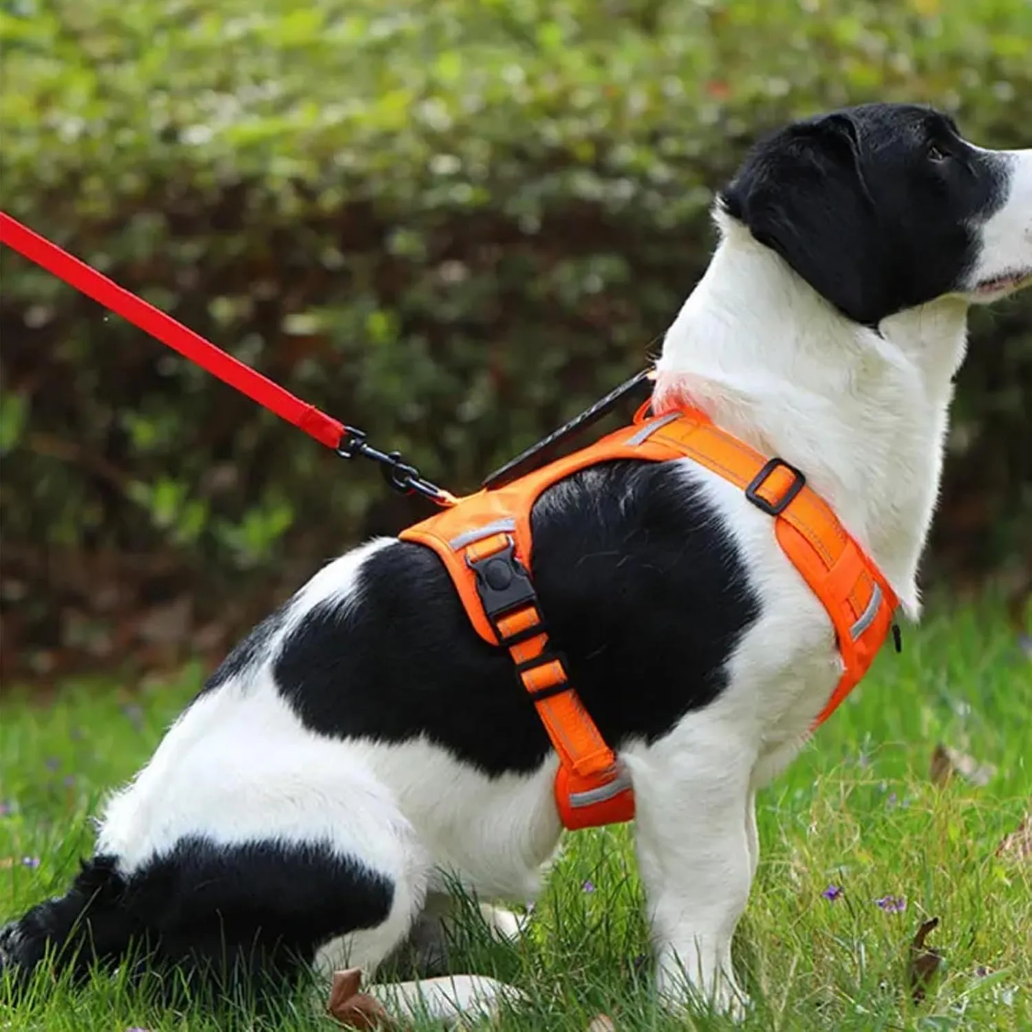Chewie Cozy Harness, Getchewie Dog Harness, Reflective Adjustable Comfortable Pet Chest, for Small Medium Large Dogs (Yellow, L)