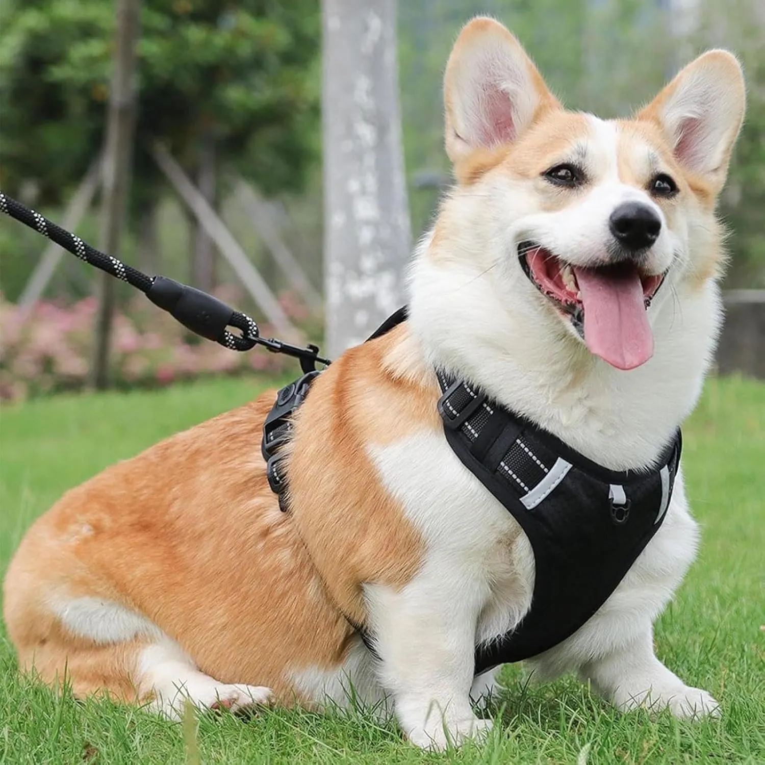 Chewie Cozy Harness, Getchewie Dog Harness, Reflective Adjustable Comfortable Pet Chest, for Small Medium Large Dogs (Yellow, L)