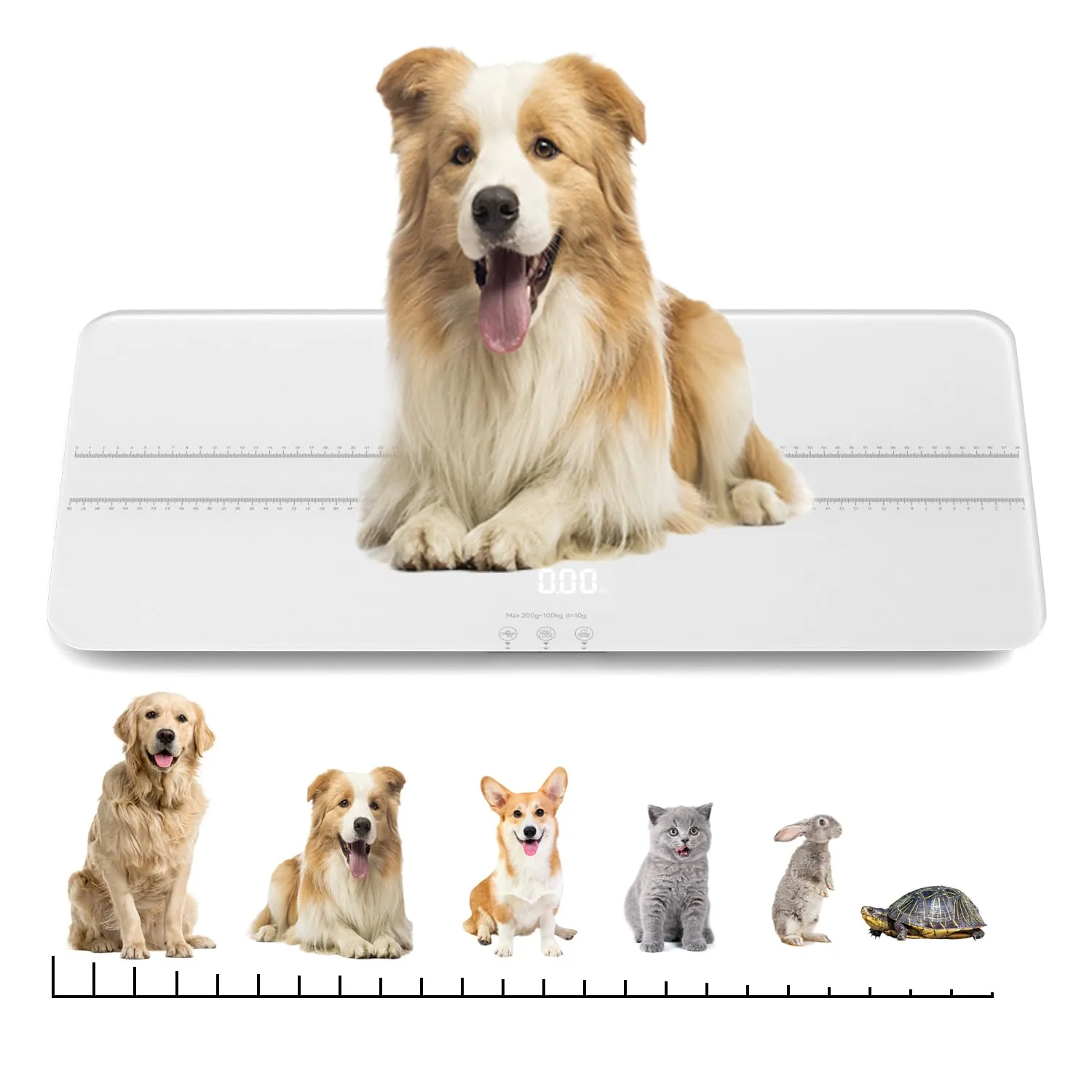 Digital Pet Scale, Baby Scale - Measuring Range 0.45lbs-220lbs for Small-Medium Dogs/Large Cat (White)