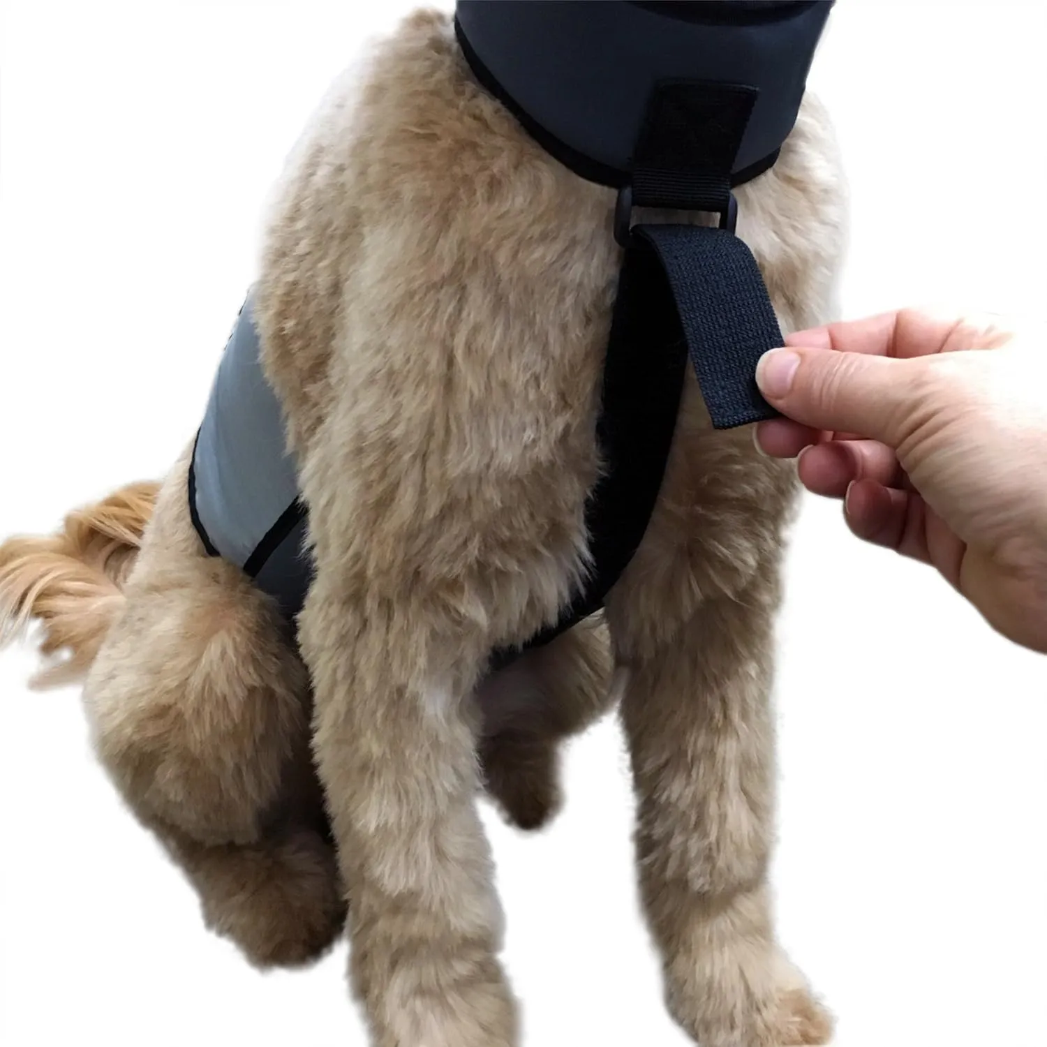 Dog Cooling Vest and Cooling Collar - Ice Vest for Dogs X-Small (15" to 18" Girth)