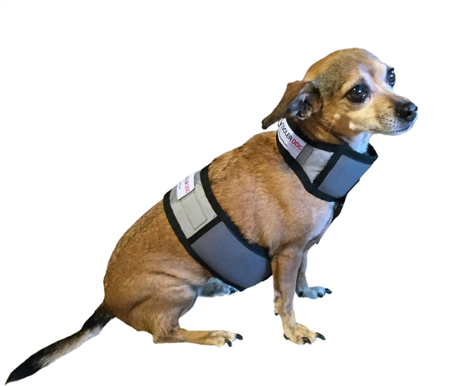 Dog Cooling Vest and Cooling Collar - Ice Vest for Dogs X-Small (15" to 18" Girth)