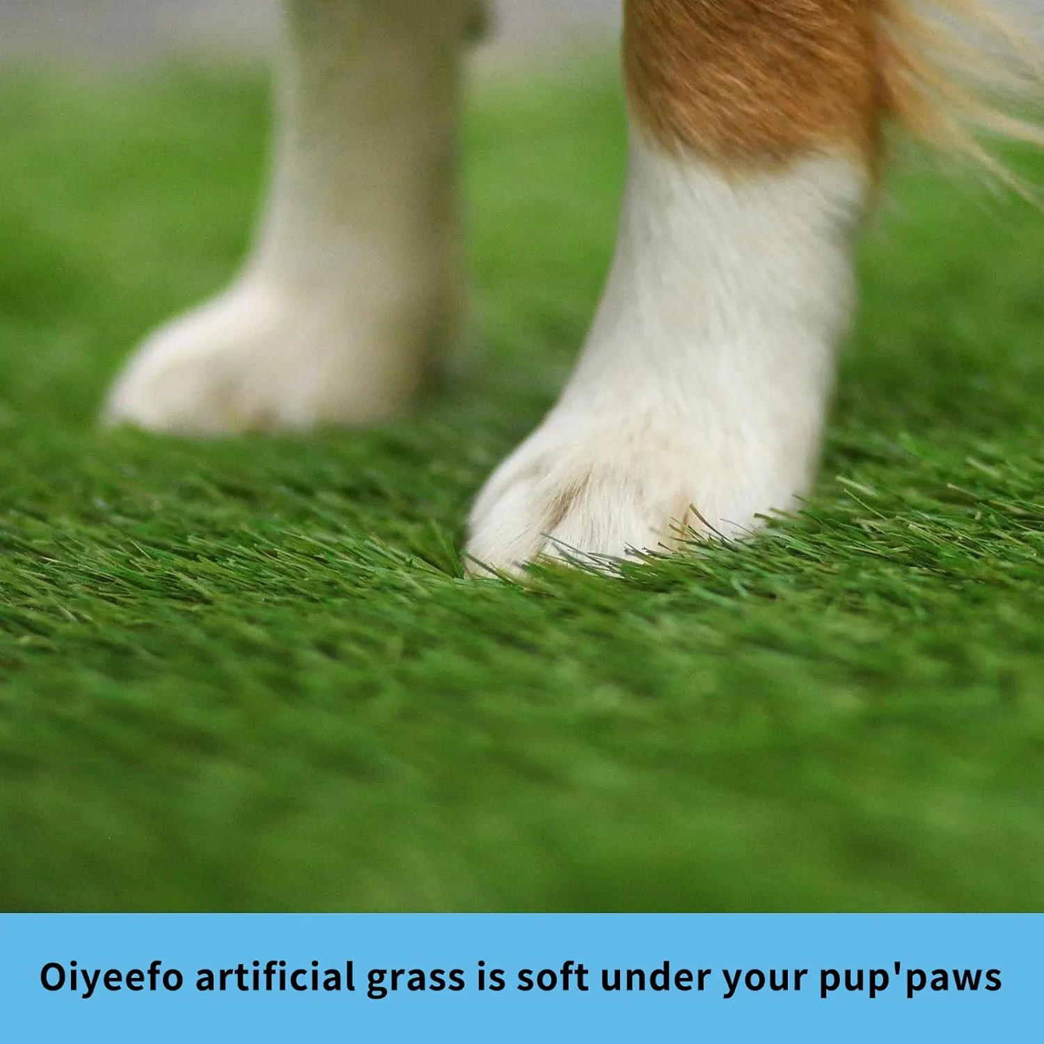 Dog Grass Pad with Tray,35.5 x 23.6 Indoor Dog Potty System 2 Pics Replacement Artificial Grass Mats-5 Pics Disposable Puppy Pads,for Puppy Training Apartment,Balcony and Apartment Use