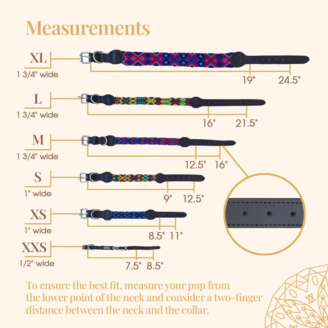 Embroidered Dog Collar - Genuine Leather | Rasta