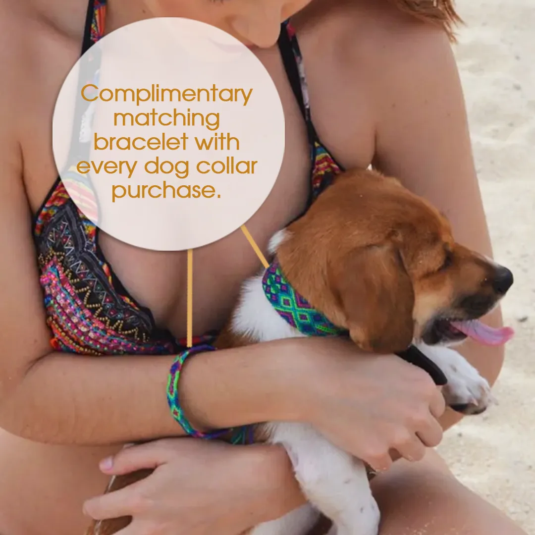 Embroidered Dog Collar - Genuine Leather | Rasta