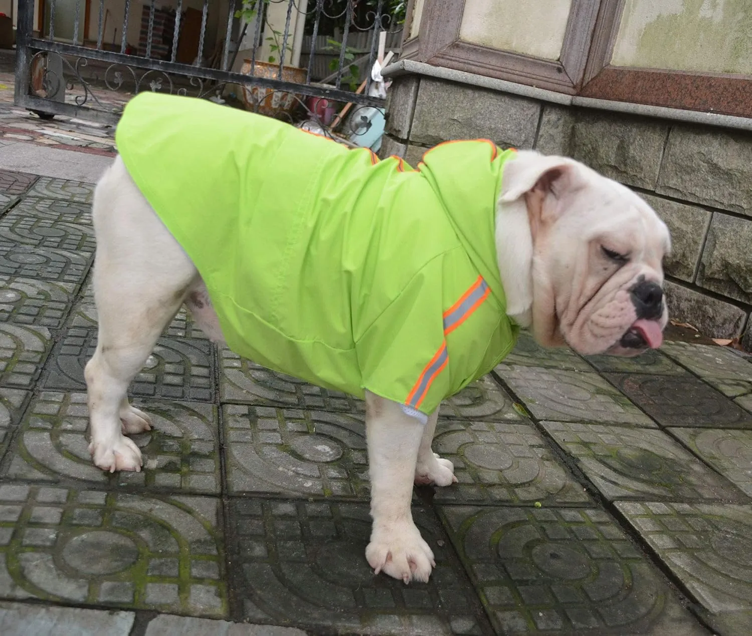 Fashion Hooded Pet Dog Raincoat, Lightweight Dog Rain Jacket Zipper Closure Rain Poncho with Reflective Strip for Pug French Bulldog Green B-S