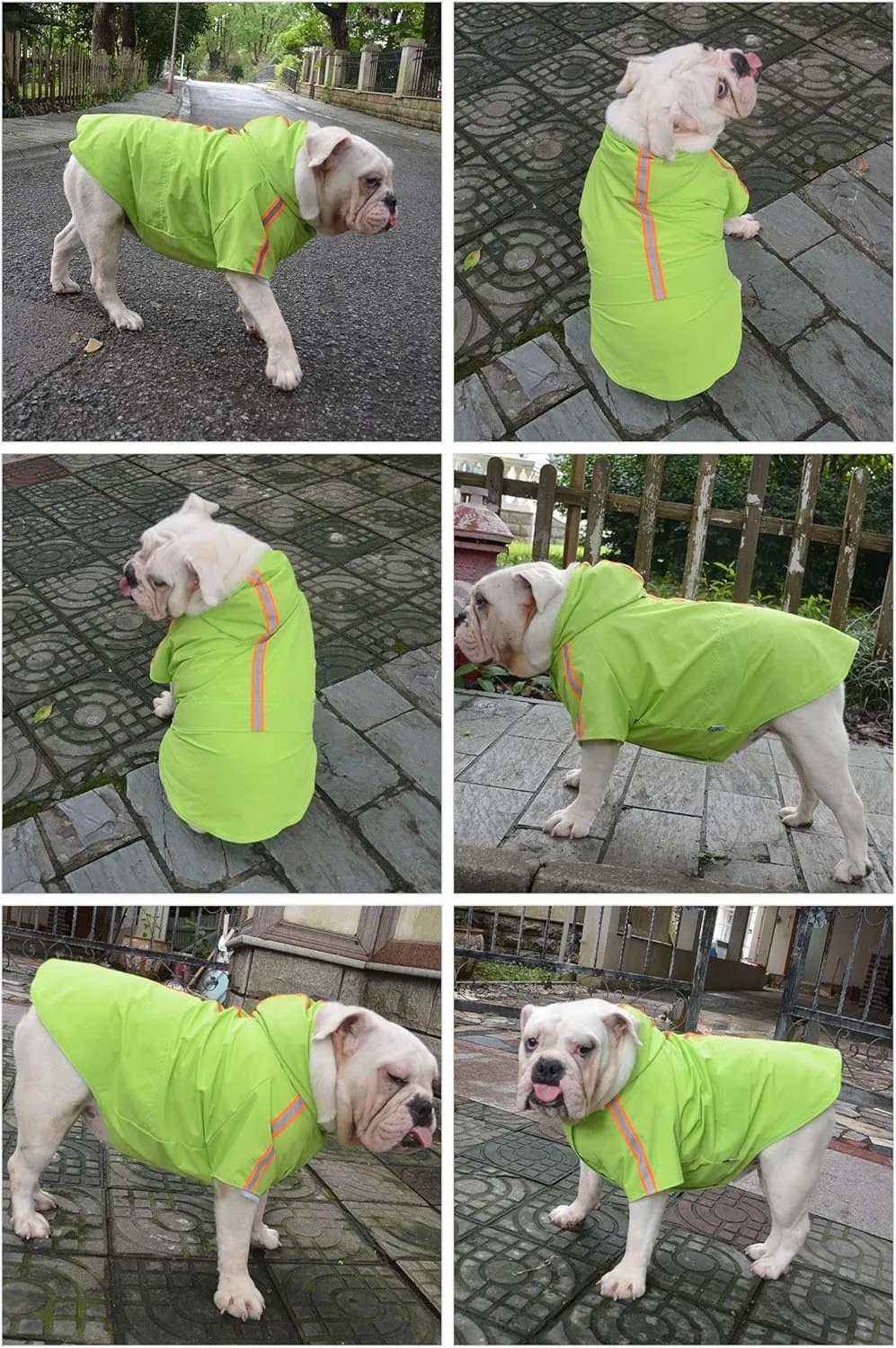 Fashion Hooded Pet Dog Raincoat, Lightweight Dog Rain Jacket Zipper Closure Rain Poncho with Reflective Strip for Pug French Bulldog Green B-S