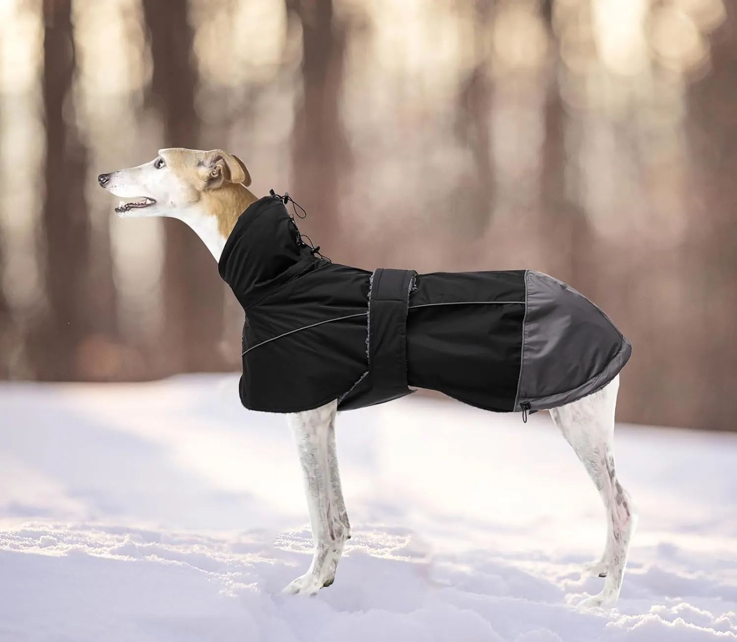 Greyhound Lurcher Winter Coat, Whippet Jacket with Padded Fleece, Water Resistant Dog Snowsuit with Adjustable Bands and High Reflective be Safety - Black - XL