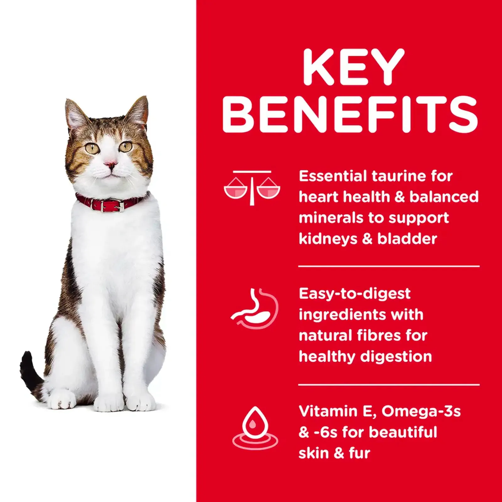 Hill's Science Diet - Feline Adult 7 