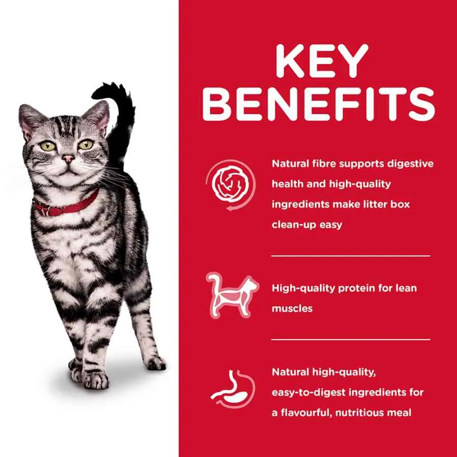 Hills Science Diet Feline Indoor Cat