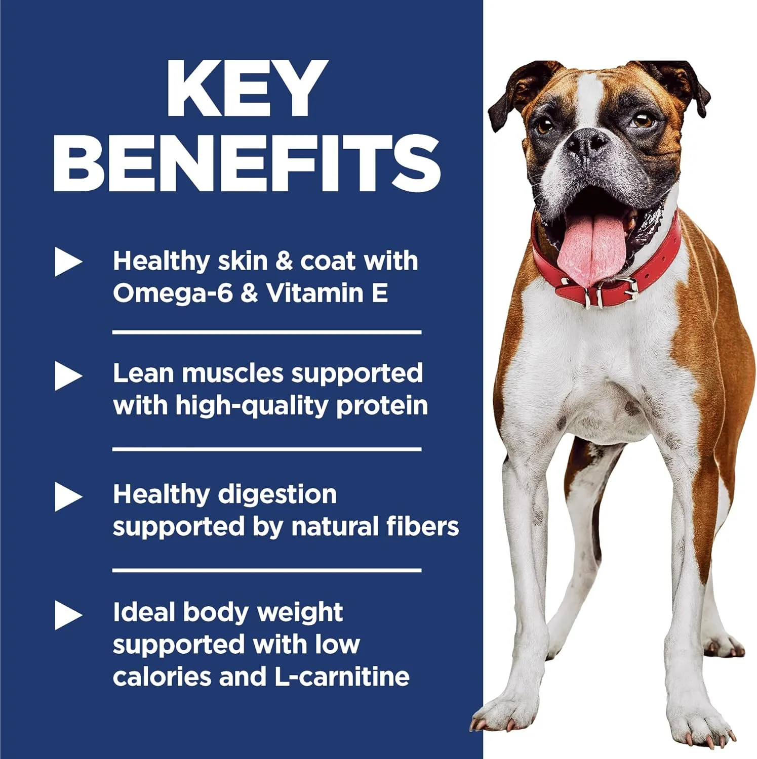 Hill's Science Diet Light , Adult 1-6, Weight Management Support, Dry Dog Food, Chicken & Barley, 15 lb Bag