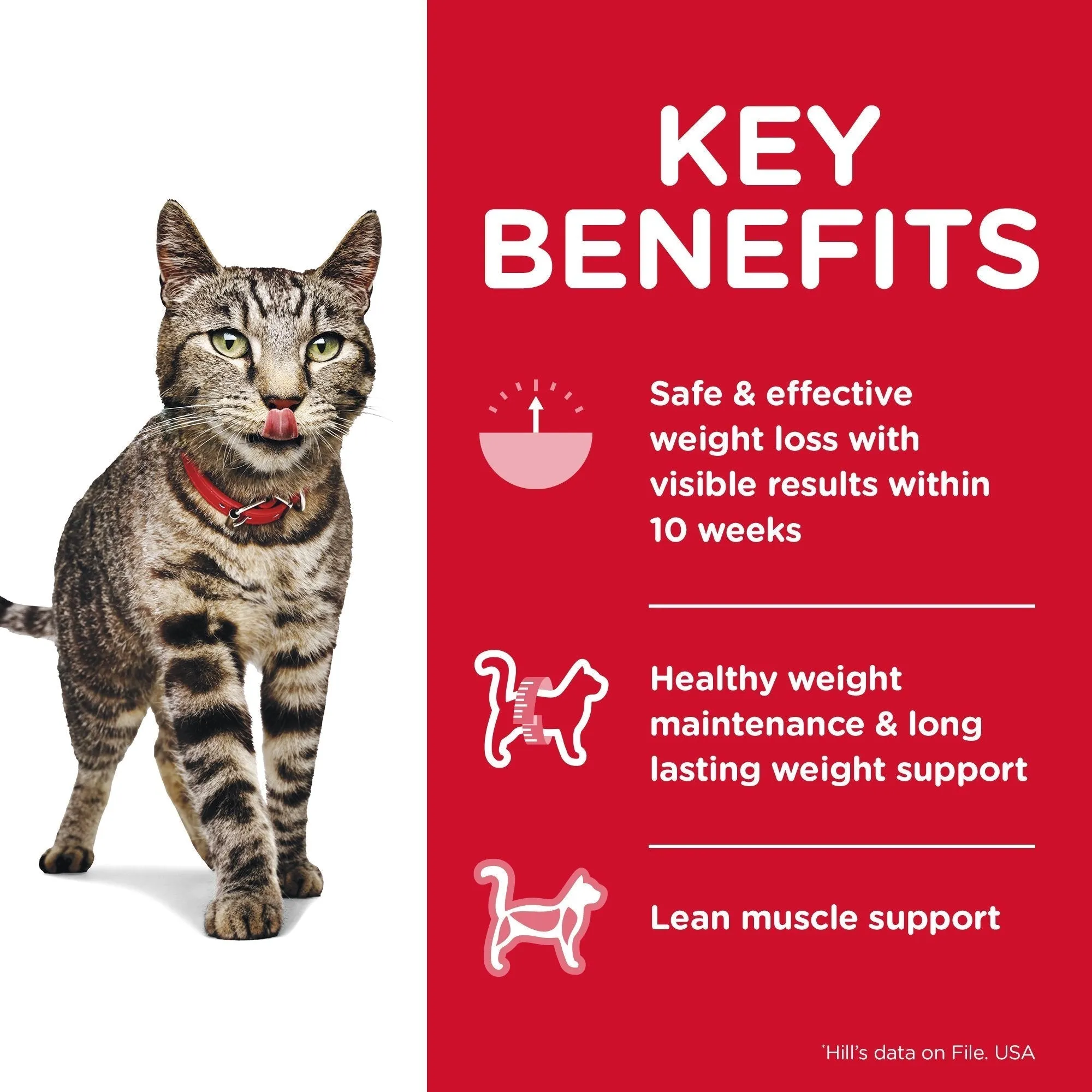 Hills Science Diet Perfect Weight Adult Dry Cat Food 3.17kg^^^