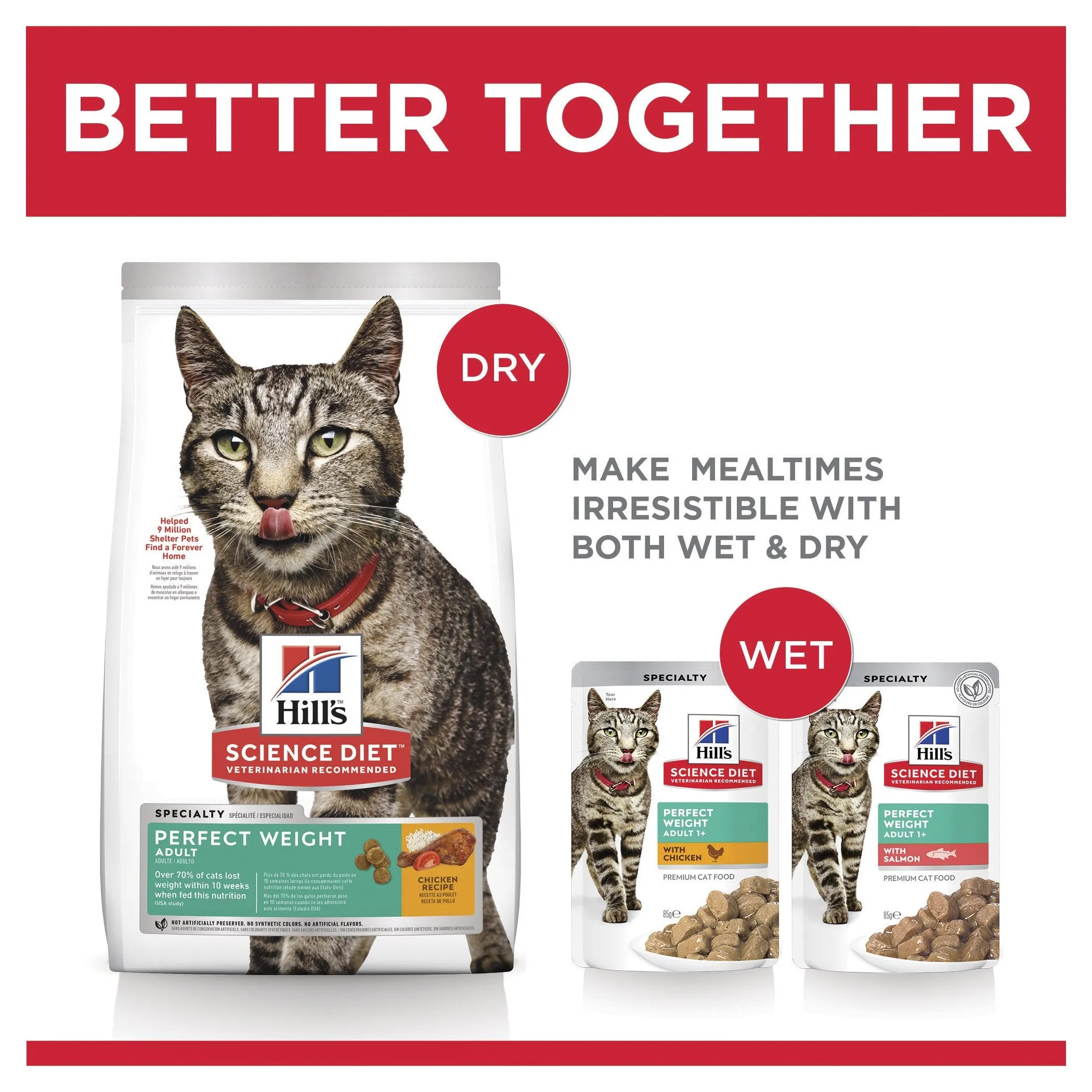 Hills Science Diet Perfect Weight Adult Dry Cat Food 3.17kg^^^