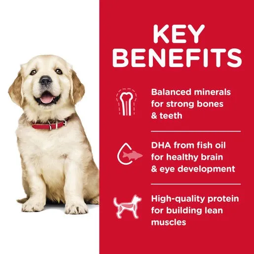 Hill's Science Diet Puppy Large Breed
