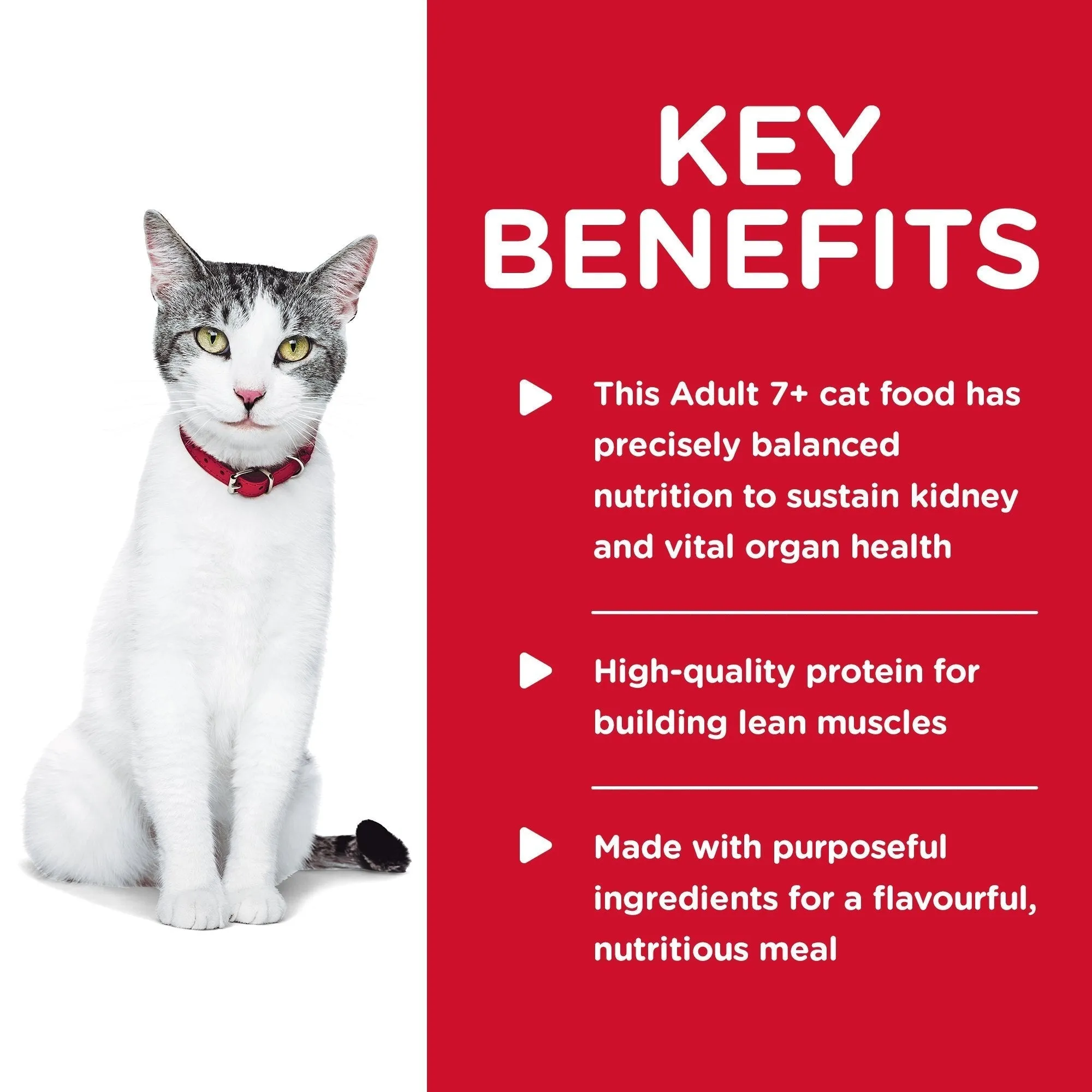 Hills Science Diet Senior Adult 11  Dry Cat Food 3.17kg^^^