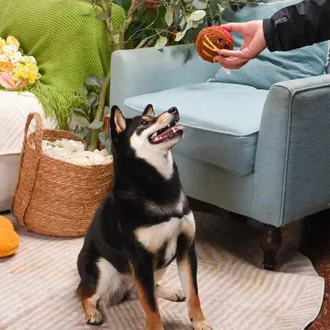 Hugsmart Pet Food Party Spaghetti Meatball Ball Dog Toys
