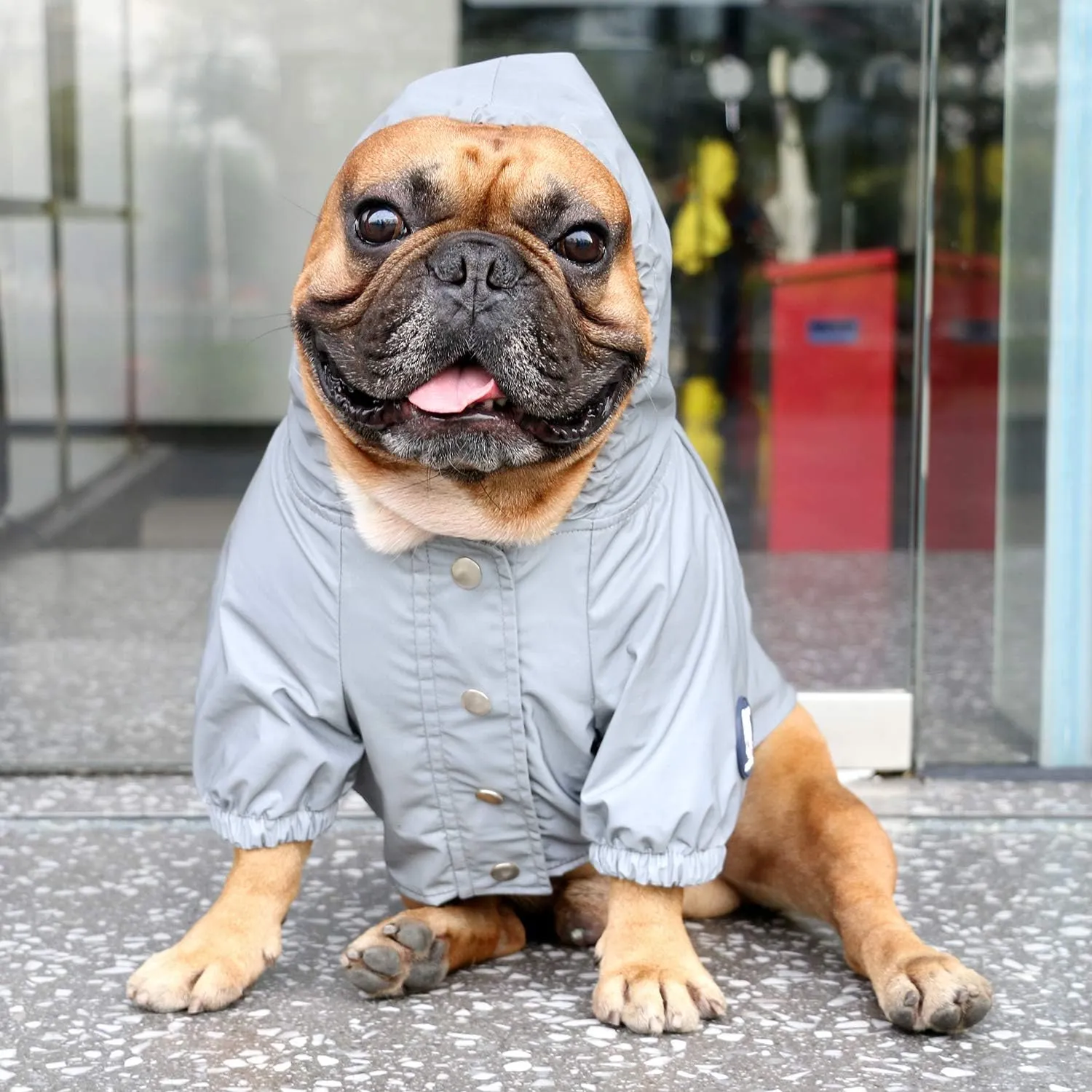 iChoue Dog Cold Weather Coats Reflective Safety Jackets Water Resistant Raincoats All Made Up of High Reflection Fabric Keep Dogs Visible for French English Bulldog Bully Pitbull - Silvery, Small