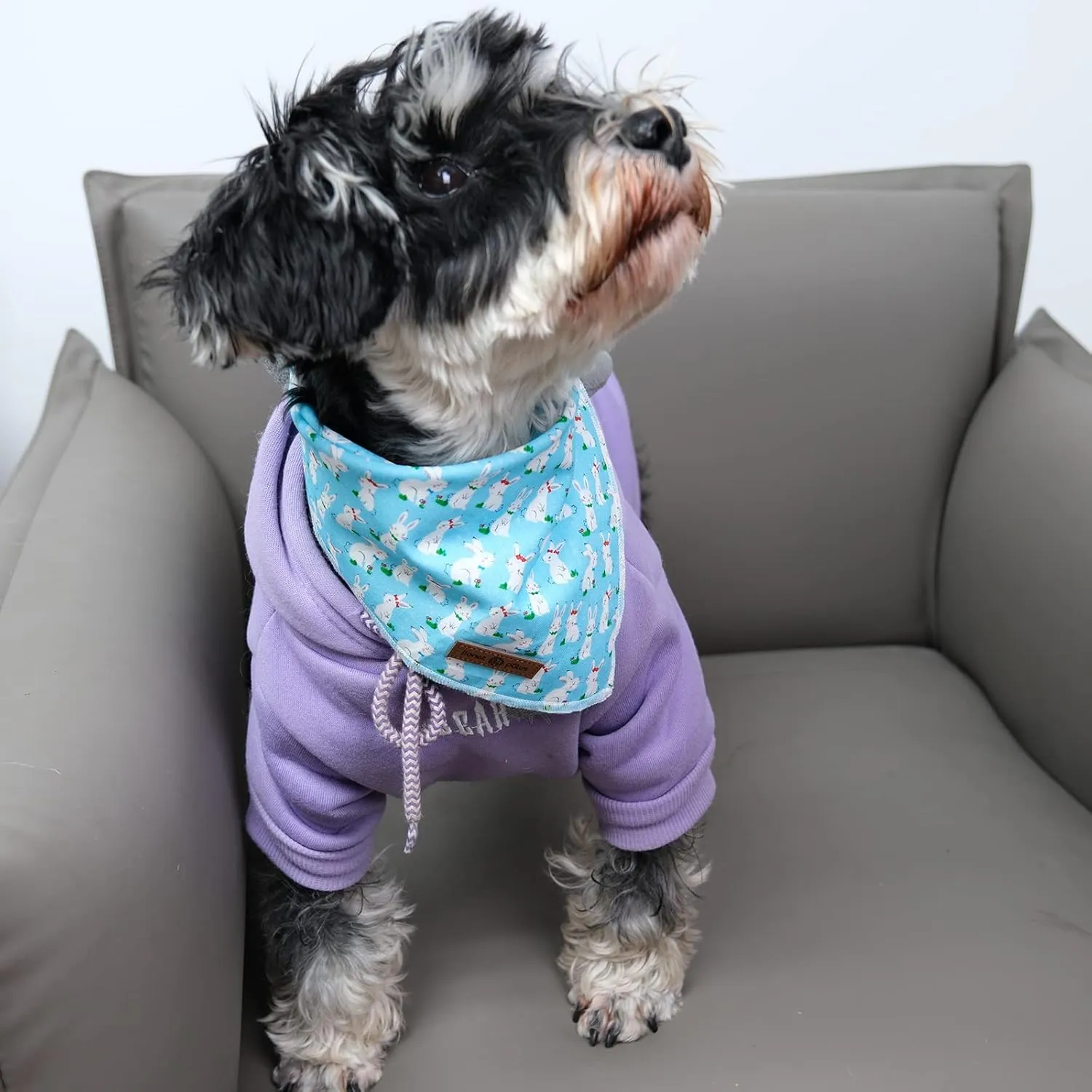 lionet paws Easter Bunny Dog Bandana for Small Medium Large Dogs, Cat Dog Kerchief Triangle Bibs Scarf for Girl Boy