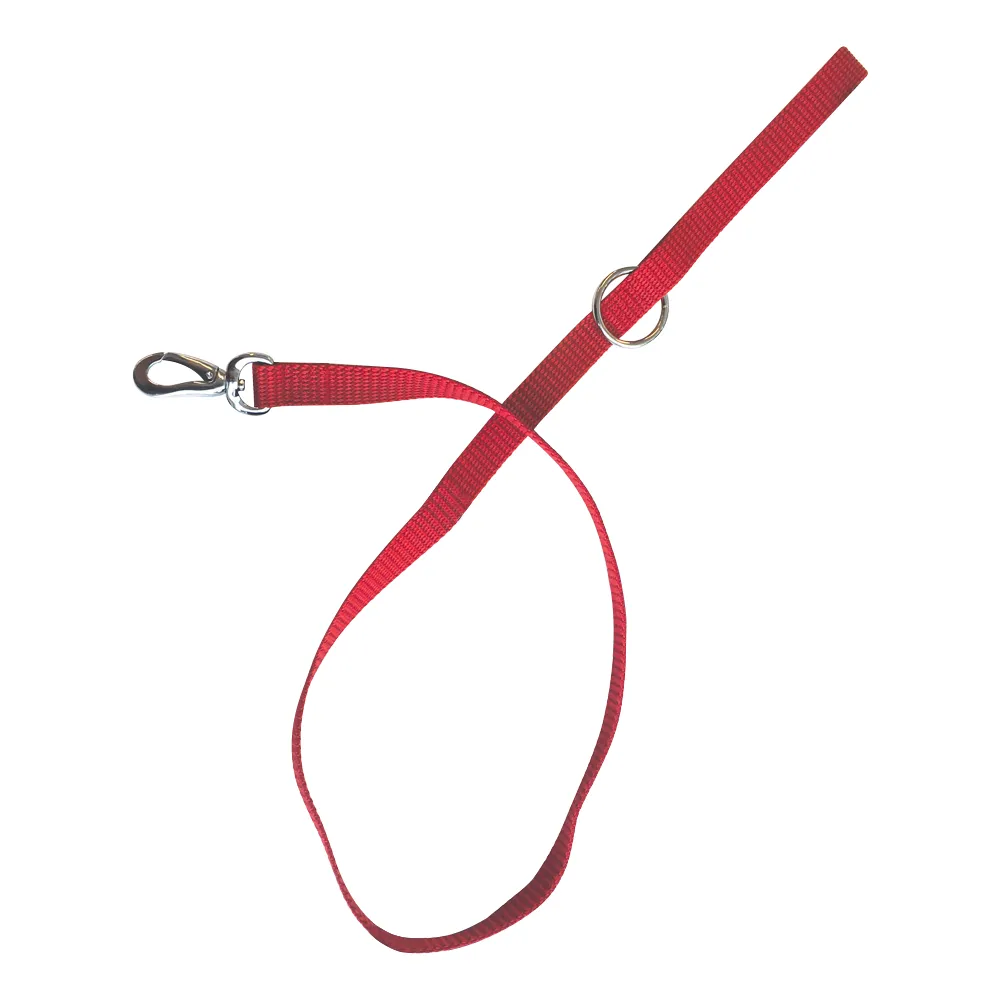 M-PETS Sportline Dog Leash Red