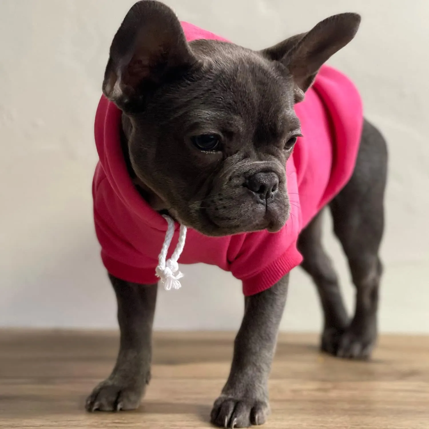 My Humans are Getting Married Annoucement Pullover Fleece Lined Dog Hoodie (Royal, Small 224)