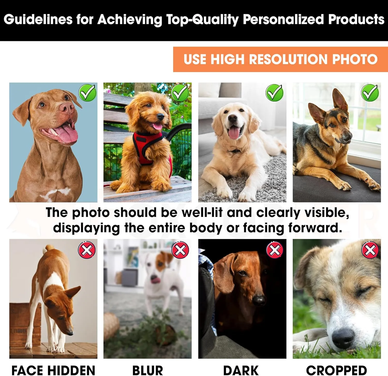Personalized Pet Photo Memorial Pillow with Insert 12"x12" Double-Sided Printed Sympathy Gifts for Loss of Dog - Dog Remembrance Bereavement Gifts - Custom Memorial Gifts Pillow Home Decor