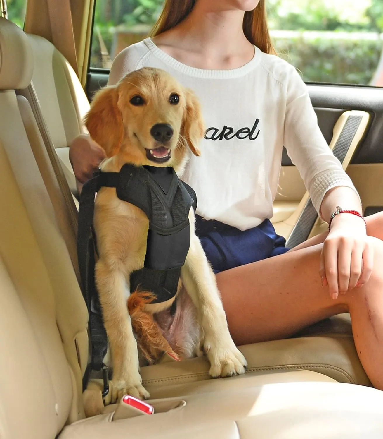 Pet Life  Road-to-Safety Car Dog Harness with Swivel Hooks - Pet Car Seat Harness with Safety pet Leash Designed to Protect Better Than Safety car Barrier or Dog car seat