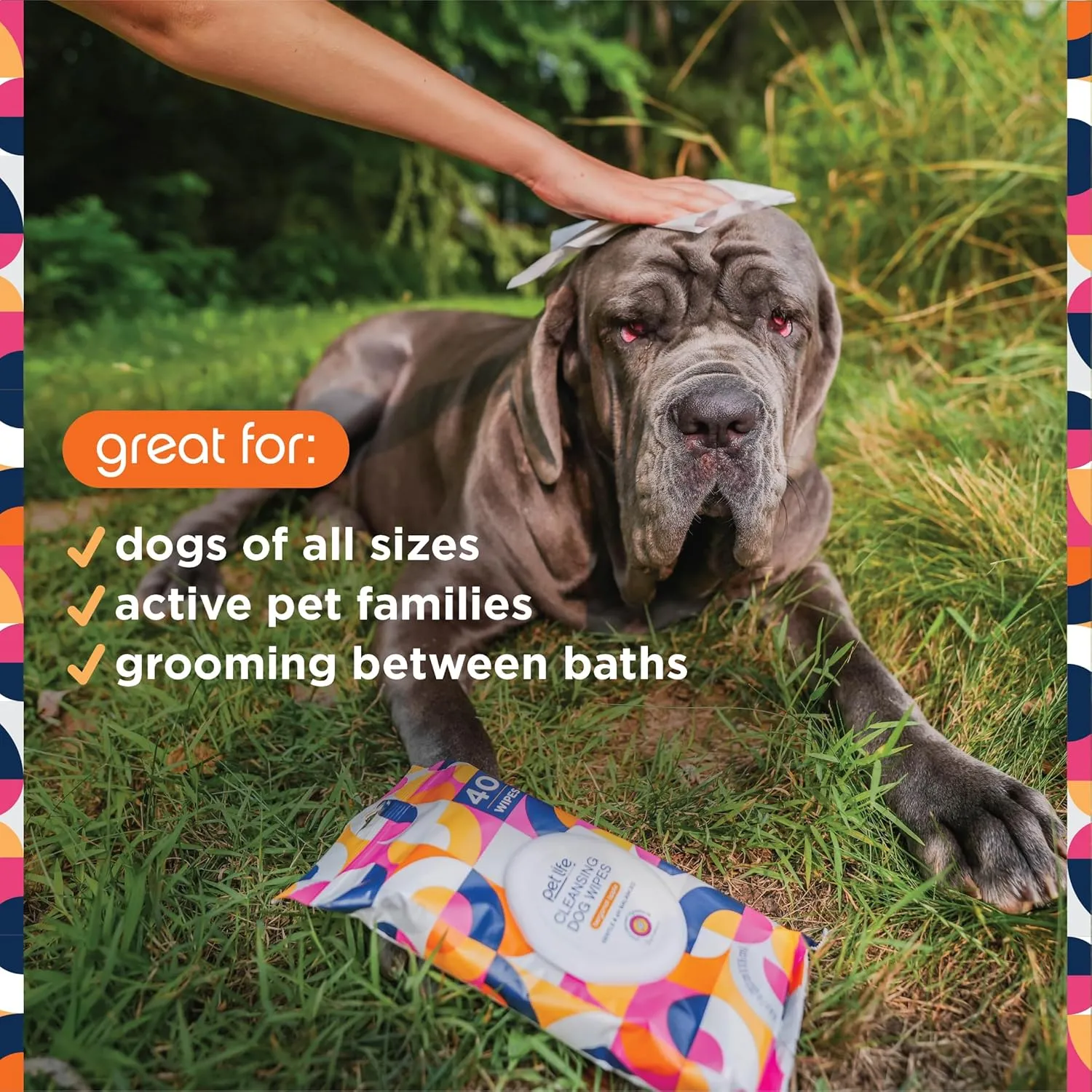 Pet Life Unlimited Pet Wipes for Dogs, Dog Cleaning Wipes - Plant-Based Dog Wipes with Moisturizing Aloe Leaf & Calendula - Made in The USA - Bergamot Apple Scent Dog Grooming Wipes - 40ct (Pack of 1)