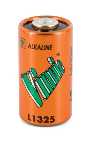 PetSafe 6V Battery