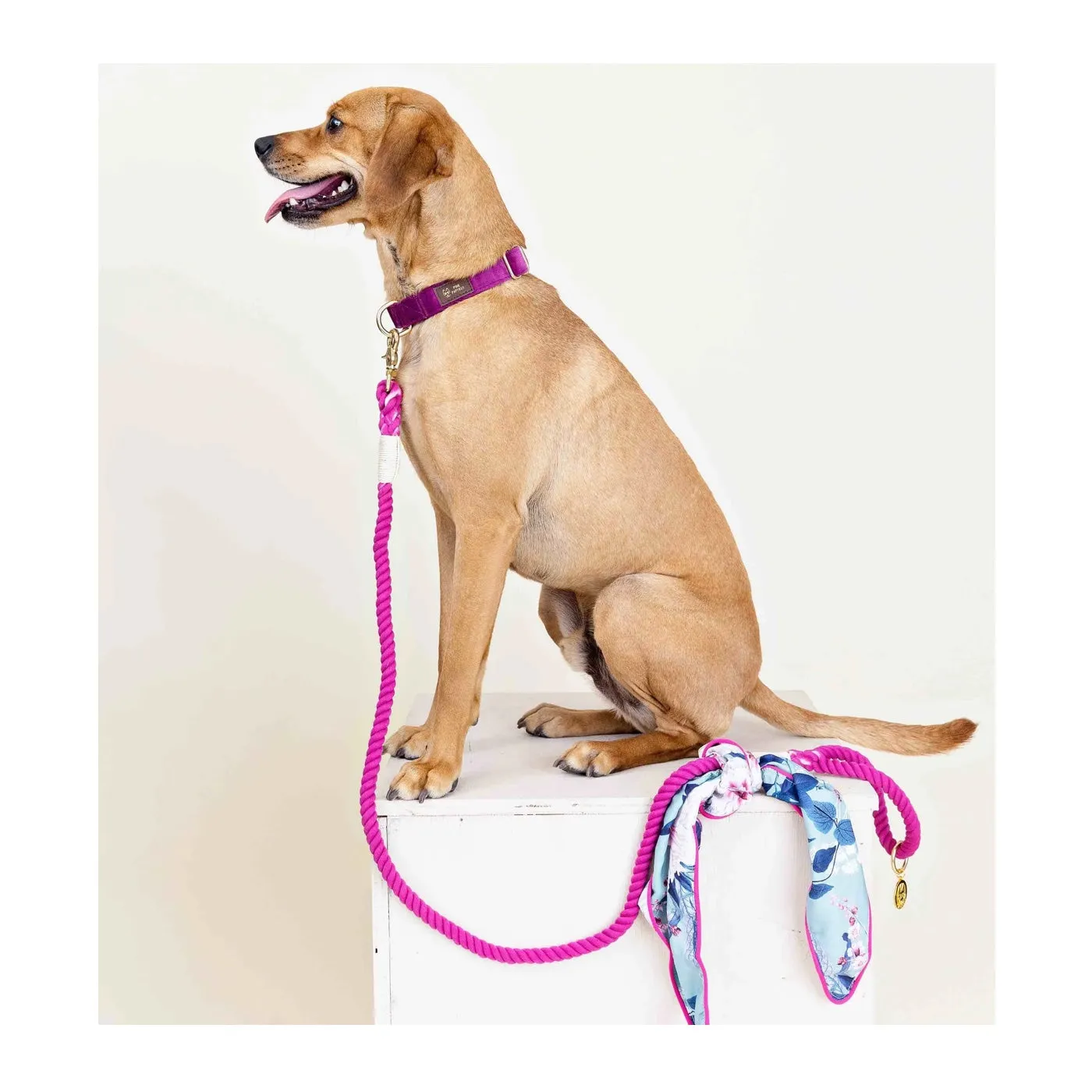 Pink Papyrus Cotton Rope Bree Bright Pink Dog Leash