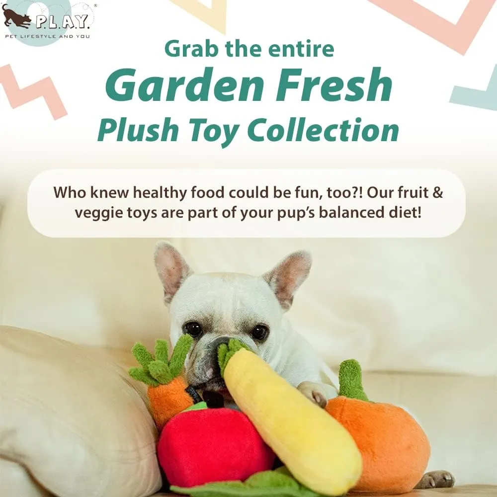 P.L.A.Y. Cute Plush Dog Toys - Fruit & Vegetable Themed Durable Squeaker Chew Toy, Great for Puppies & Small, Medium, Large Dogs - Machine Washable, Recycled Materials (Garden Fresh Peapod, X-Small)