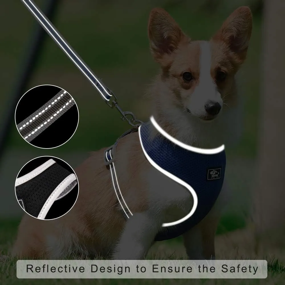 Puppy Harness and Leash Set - Dog Vest Harness for Small Dogs Medium Dogs- Adjustable Reflective Step in Harness for Dogs - Soft Mesh Comfort Fit No Pull No Choke (M, Black)