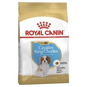 Royal Canin Dog Cavalier King Charles Puppy Dry Food 1.5kg {)_(}