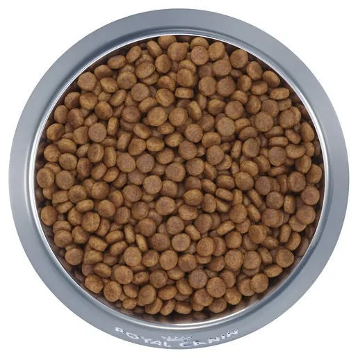 Royal Canin Maxi Dog Food Puppy