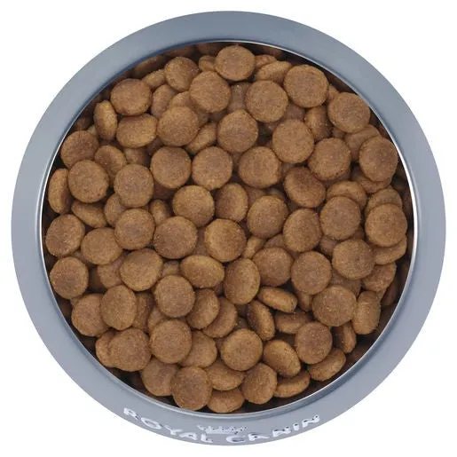 Royal Canin Medium Dog Food Adult