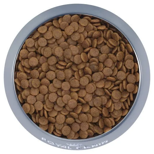 Royal Canin Medium Dog Food Puppy