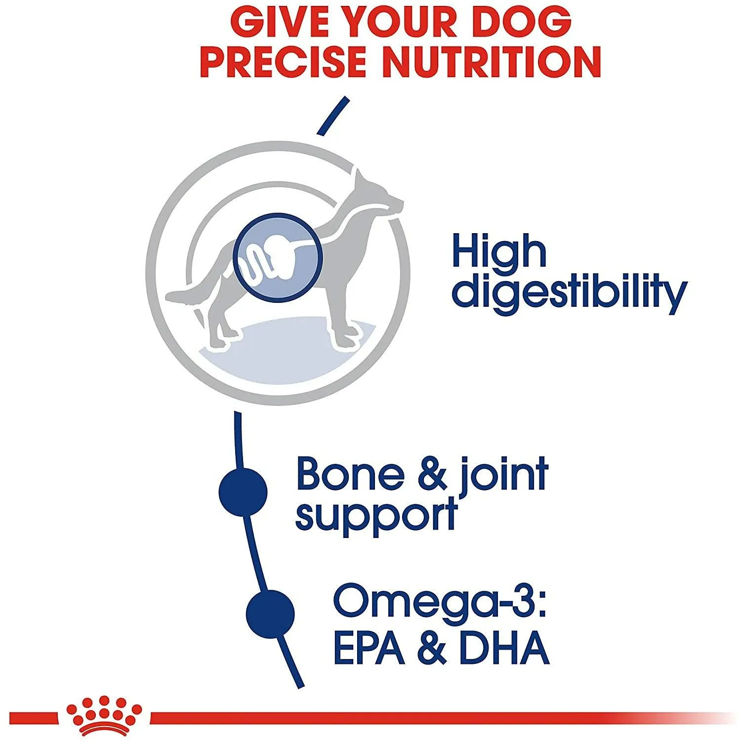 Royal Canin® Size Health Nutrition™ Large Adult Dry Dog Food