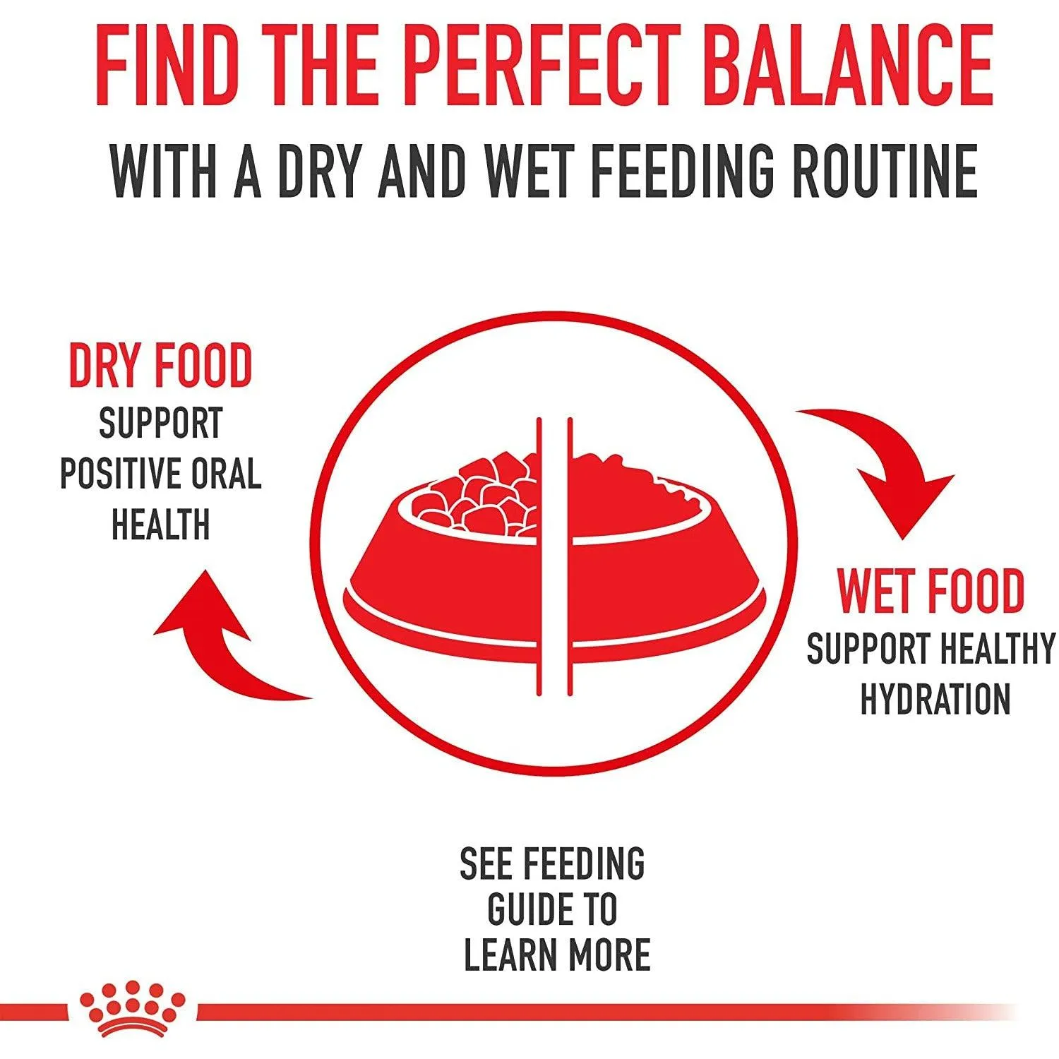 Royal Canin® Size Health Nutrition™ Large Adult Dry Dog Food