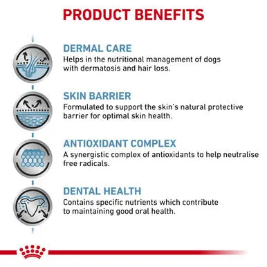 Royal Canin Skin Care Small Adult Dry Dog Food