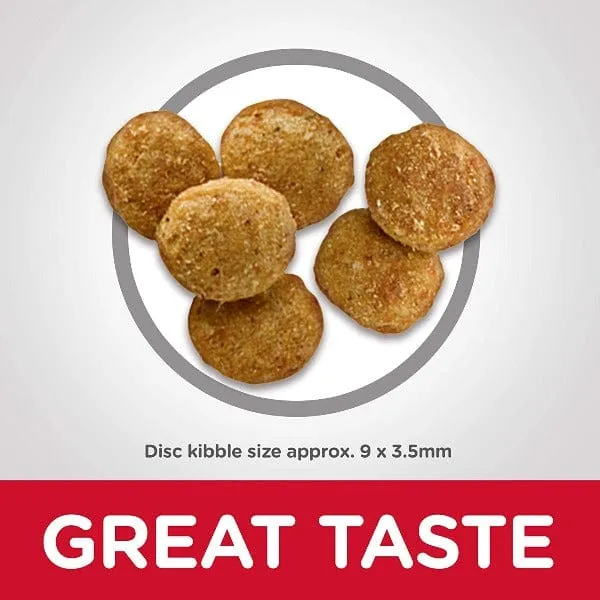 Science Diet Adult Light Chicken Recipe Dry Cat Food