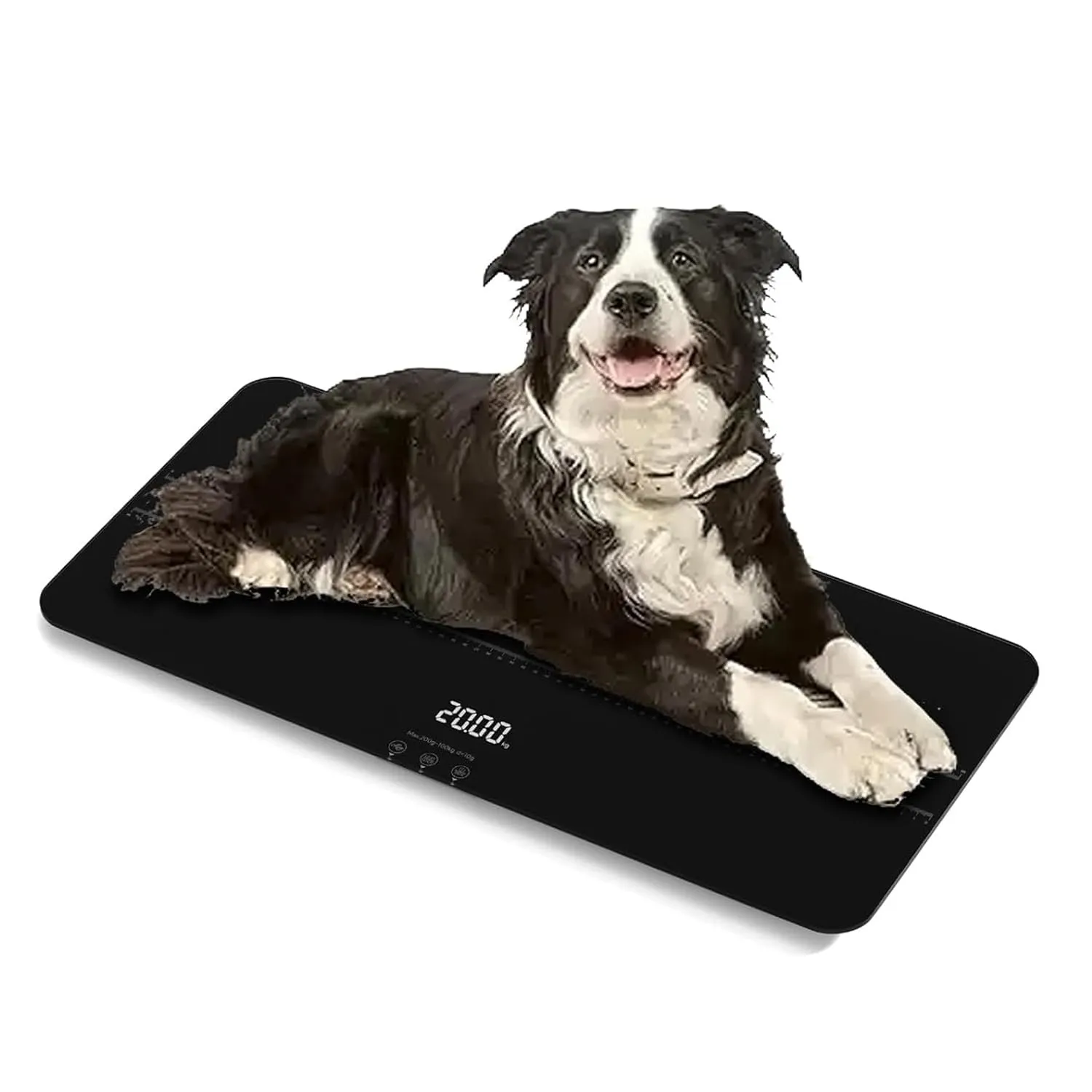 SIKE Medium-Small Veterinary Scale, Dog Scale (10g) Accuracy, Max 220lbs, Precision Digital Pet Scales and USB Recharging Cord Included, Tempered Glass Platform with Anti Slip Sticker