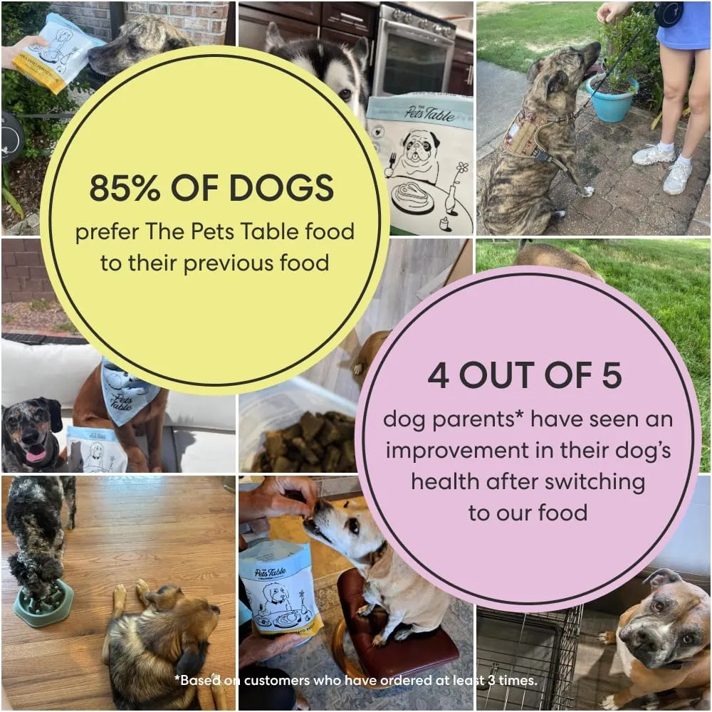 The Pets Table Grain Inclusive Air Dried Dog Food 2 Pack - Chicken & Sweet Potato   Lamb & Beef, 16 Ounce (Pack of 2)