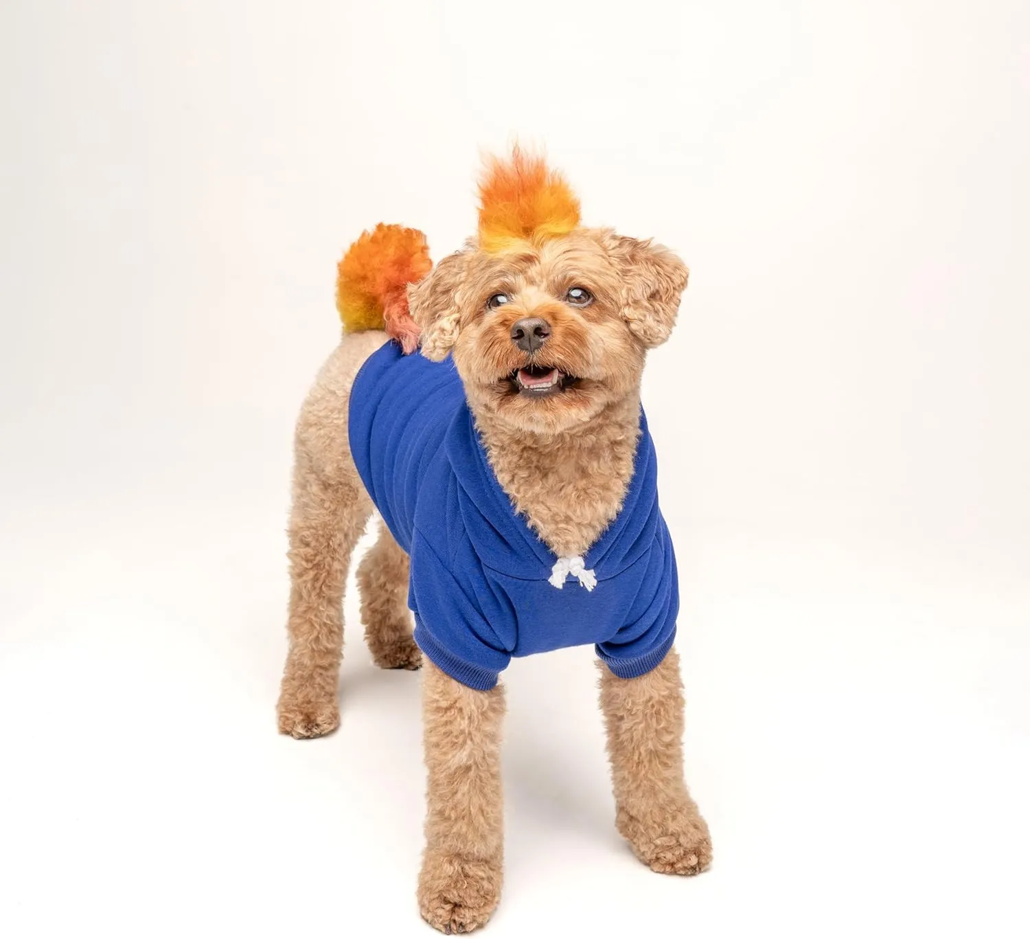 Two Moms are Better Than One Mother's Day Dog Hoodie | Fleece Lined |Leash Hole| Pride Day | LGBTQ  | Rainbow | Parade|Royal Blue, Medium 322